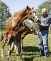 Über uns Stall Krehl
